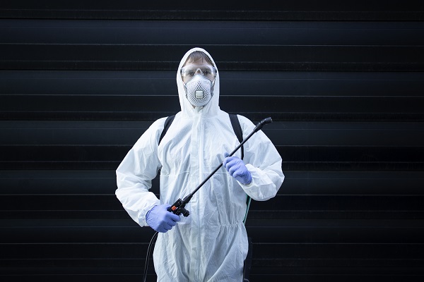 Why Choose Hawx Pest Control for Termite Control